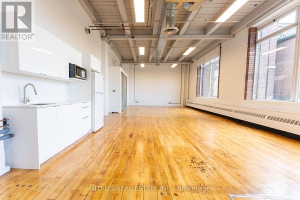 201b - 219 Dufferin Street, Toronto, ON M6K1J1 Photo 4