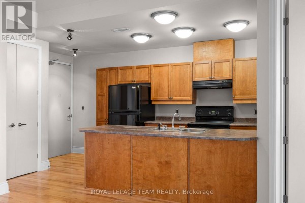 202 - 260 Besserer Street, Ottawa, ON K1N1J3 Photo 3
