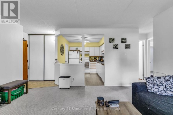 Living room and kitchen area of an apartment with white cabinets and grey carpet. - 202 - 50 Campbell Court, Stratford