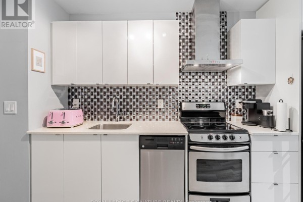 Kitchen - 202 - 51 East Liberty Street, Toronto, ON M6K3P8 Photo 3