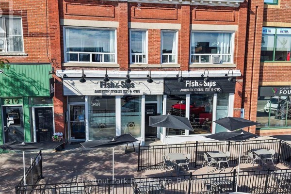 202-204-206 Hurontario Street, Collingwood, ON L9Y2M2 Photo 3