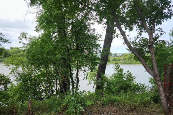 Forested riverbank with dense green foliage, branches, and a glimpse of distant buildings. - 202 Lyndale Drive, Winnipeg