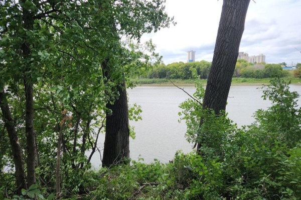 Overgrown riverbank with trees, shrubs, and a red metal gate on the right side. - 202 Lyndale Drive, Winnipeg
