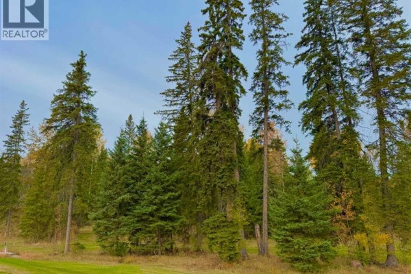 202 Meadow Ponds Drive, Rural Clearwater County, AB, photo 2