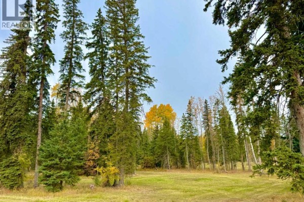 202 Meadow Ponds Drive, Rural Clearwater County, AB, photo 3