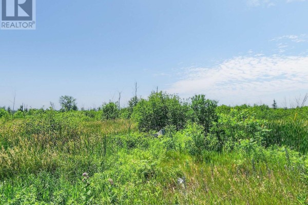 20200 Highway 48, East Gwillimbury, ON, photo 2
