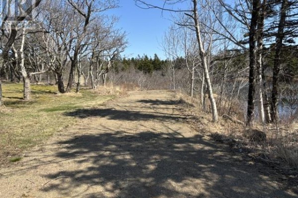 2022a Peajack Road, Westport, NS B0V1H0 Photo 2