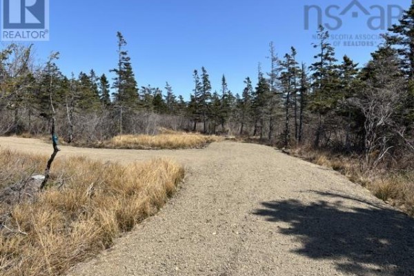 2022a Peajack Road, Westport, NS B0V1H0 Photo 3