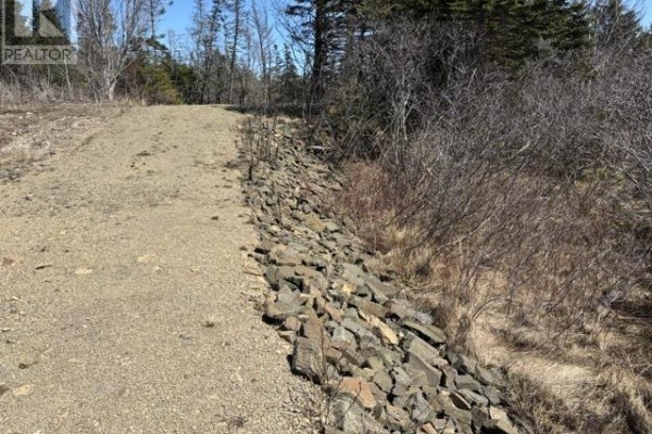 2022a Peajack Road, Westport, NS B0V1H0 Photo 4