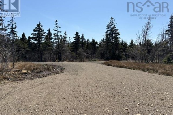 2022a Peajack Road, Westport, NS B0V1H0 Photo 5