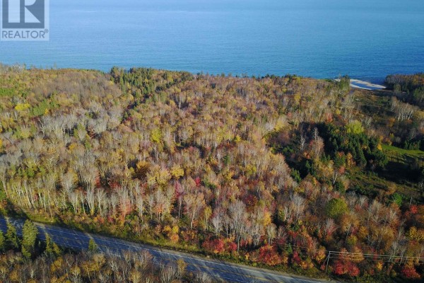 2023-1 Cabot Trail Road, Birch Plain, NS B0C1H0 Photo 3