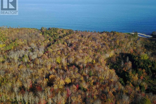 2023-2 Cabot Trail Road, Birch Plain, NS B0C1H0 Photo 4