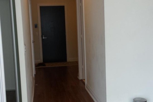 Den - 2024 - 5 Sheppard Avenue E, Toronto, ON M2N2Z8 Photo 5