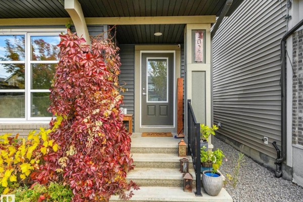 Kitchen - 2027 Cavanagh Dr Sw, Edmonton, AB T6W3M7 Photo 3