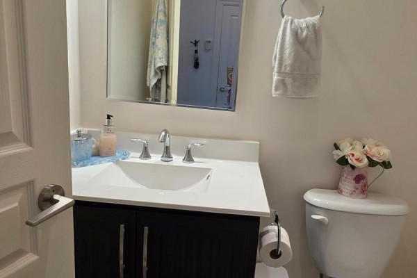Small bathroom vanity with a white sink, chrome faucet, dark wood cabinet and a toilet. - 203 - 1 Shipyard Lane, Collingwood