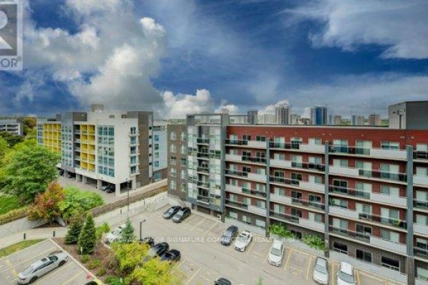 203 - 250 Albert Street, Waterloo, ON N2L0H5 Photo 4