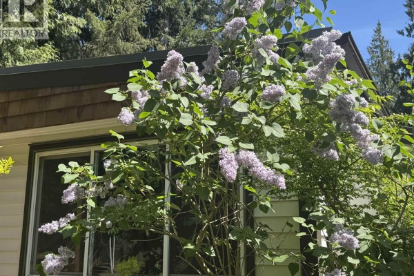 203 1830 Mamquam Road, Squamish, BC V0N1T0 Photo 5