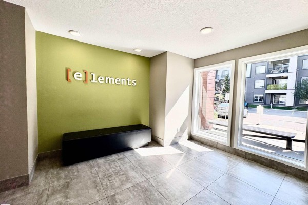 #203 394 Windermere Rd Nw, Edmonton, AB T6W0R1 Photo 4