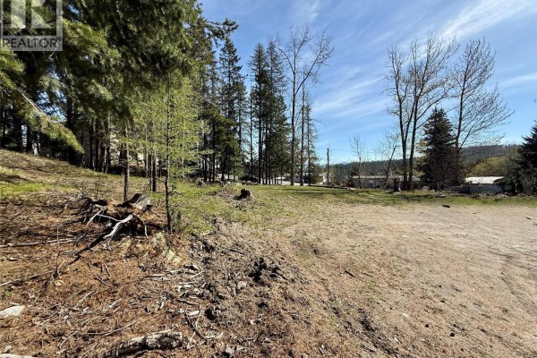 203 Norton Avenue, Kimberley, BC V1A1Y1 Photo 4