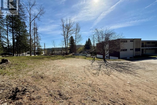 203 Norton Avenue, Kimberley, BC V1A1Y1 Photo 5