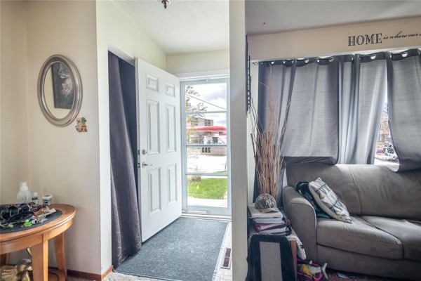 Small bathroom with a toilet, vanity with sink, wooden cabinets, and a potted plant. - 203 Wallasey Street, Winnipeg