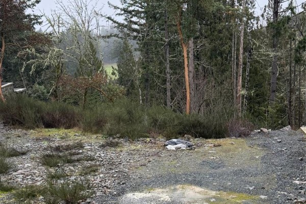 2034 Pinehurst Terr, Langford, BC V9B3S3 Photo 2