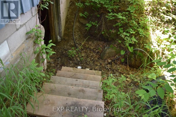 Exterior wooden stairs lead down to a dark opening in a concrete block foundation. - 20368 Highway 60 Highway, Madawaska Valley