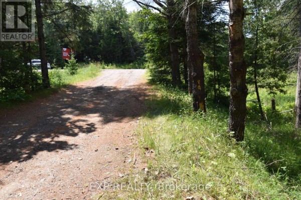 Gravel driveway curves through a treed area with sunlit grass on the right. - 20368 Highway 60 Highway, Madawaska Valley
