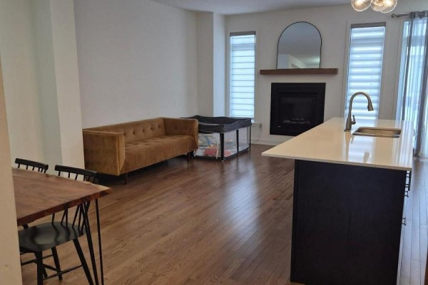 Living room featuring a brown sofa, fireplace, and large windows - 2037 Allegrini Terrace, Ottawa