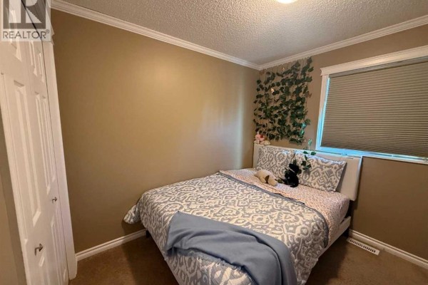 Laundry room - 204, 5300 45, Grimshaw, AB T0H1W0 Photo 2