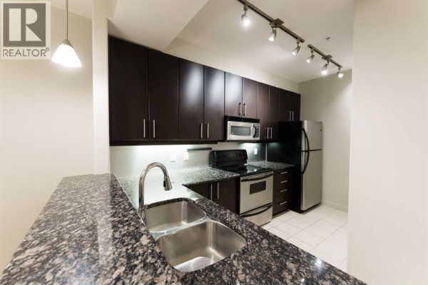 Laundry room - 204, 830 Centre Avenue Ne, Calgary, AB T2E9C3 Photo 4
