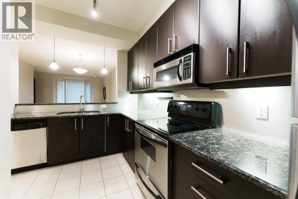 4pc Bathroom - 204, 830 Centre Avenue Ne, Calgary, AB T2E9C3 Photo 5
