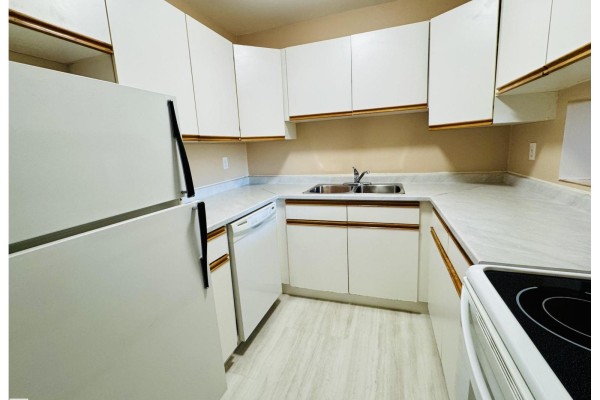 Den - #204 11807 101 St Nw, Edmonton, AB T5G2B6 Photo 4