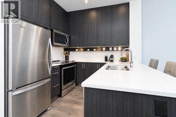 204 2393 Ranger Lane, Port Coquitlam, BC V3B0P5 Photo 5