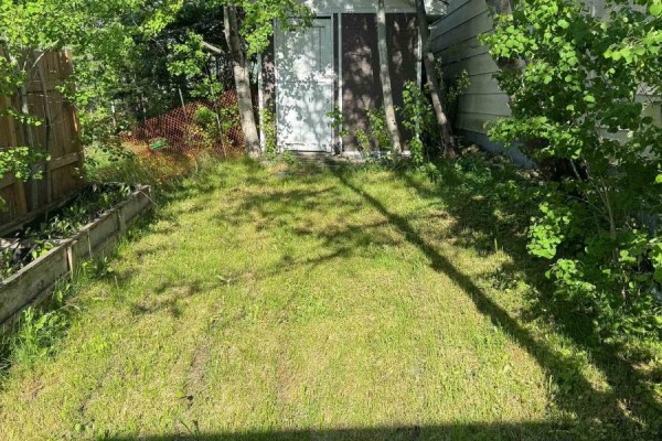 204 Laidlaw Street, Timmins, ON P4N2P8 Photo 4