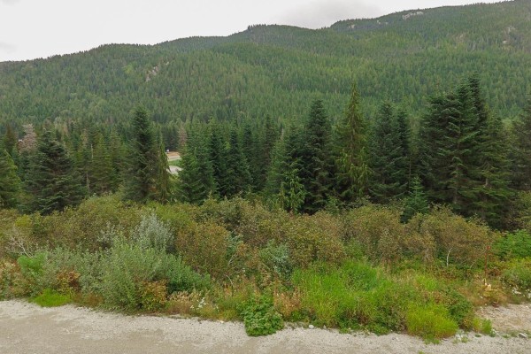 20478 Edelweiss Drive, Mission, BC V0M1A1 Photo 2
