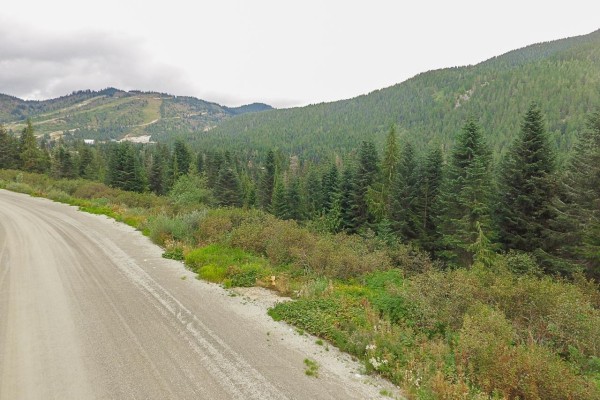20478 Edelweiss Drive, Mission, BC V0M1A1 Photo 3