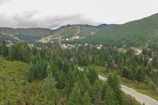 20478 Edelweiss Drive, Mission, BC V0M1A1 Photo 5