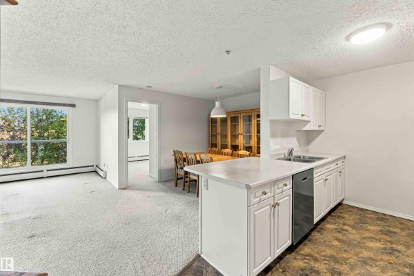 #205 10511 42 Av Nw, Edmonton, AB T6J7G8 Photo 4