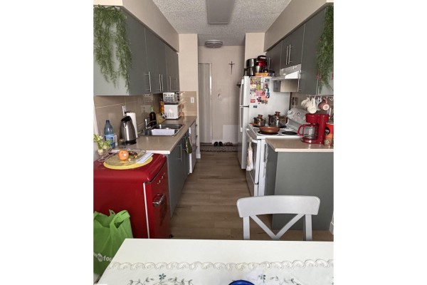 Kitchen - #205 10604 110 Av Nw Nw, Edmonton, AB T5H4C7 Photo 3