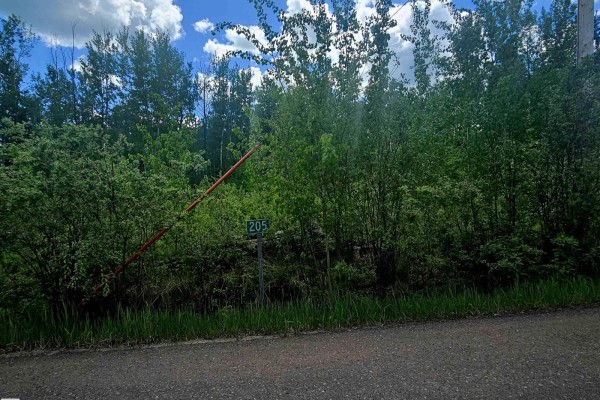 205 15538 Old Trail, Rural Lac La Biche County, AB, photo 3