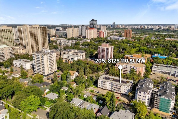 Primary Bedroom - #205 8125 110 St Nw, Edmonton, AB T6G2P3 Photo 4