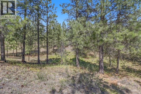 205 Corral Boulevard, Cranbrook, BC V1C0C2 Photo 5