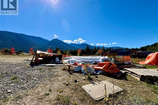 205 Edward Street Lot# 41, Balfour, BC V0G1C0 Photo 4