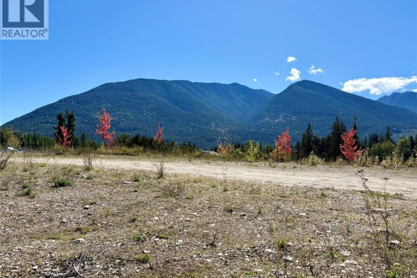 205 Edward Street Lot# 43, Balfour, BC V0G1C0 Photo 2
