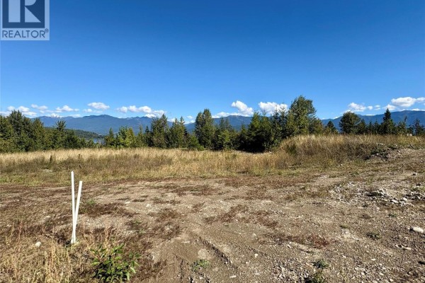 205 Edward Street Lot# 61, Balfour, BC V0G1C0 Photo 3