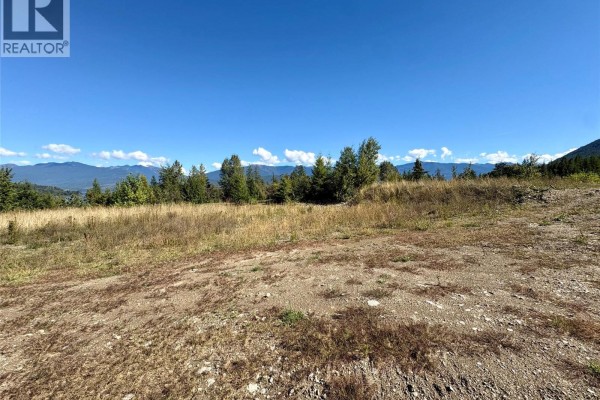 205 Edward Street Lot# 61, Balfour, BC V0G1C0 Photo 4
