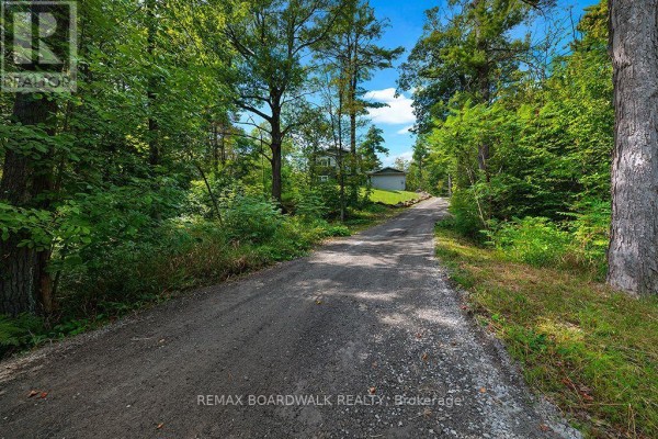 205 Indian Hill Road, Mississippi Mills, ON, photo 3