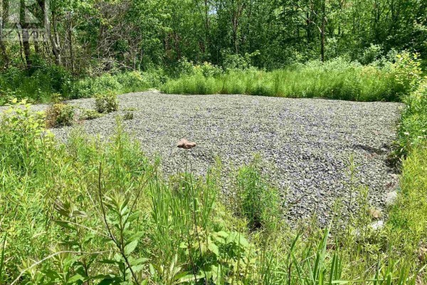205 Thomas Dickson Road, Claremont, NS B0M1V0 Photo 2