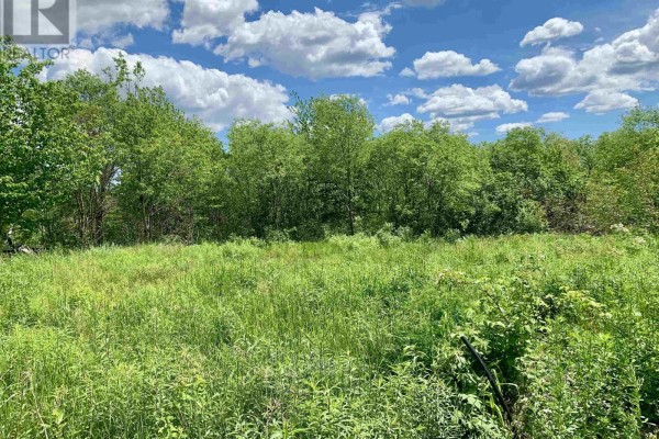 205 Thomas Dickson Road, Claremont, NS B0M1V0 Photo 4